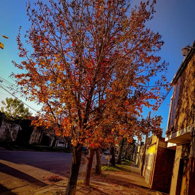 Standing. Weather forecasts with beautiful photos by alma_en_foto Photos in Santa Fe