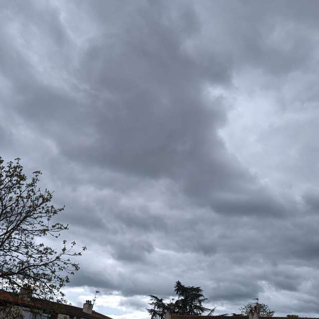 Photos Homme. Prévisions météo avec de superbes photos de Roytinez31 de Occitanie