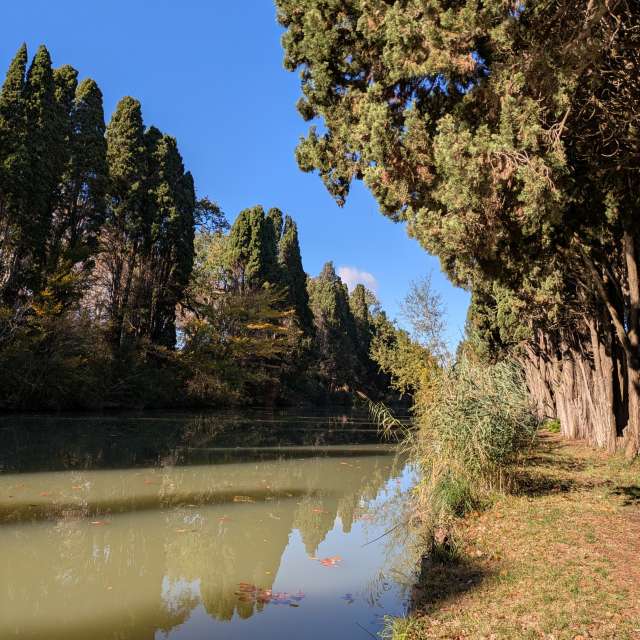 Morelenの美しい写真による天気予報