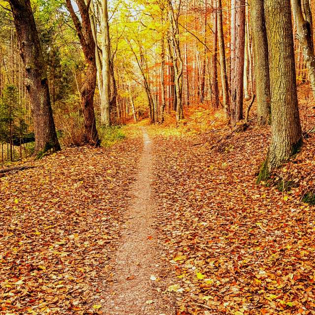 Dự báo thời tiết với những bức ảnh đẹp của Wiesiek