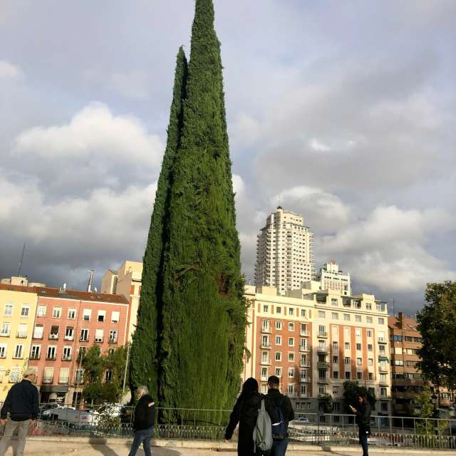 Parked. Weather forecasts with beautiful photos by Lulu5523 Photos in Madrid