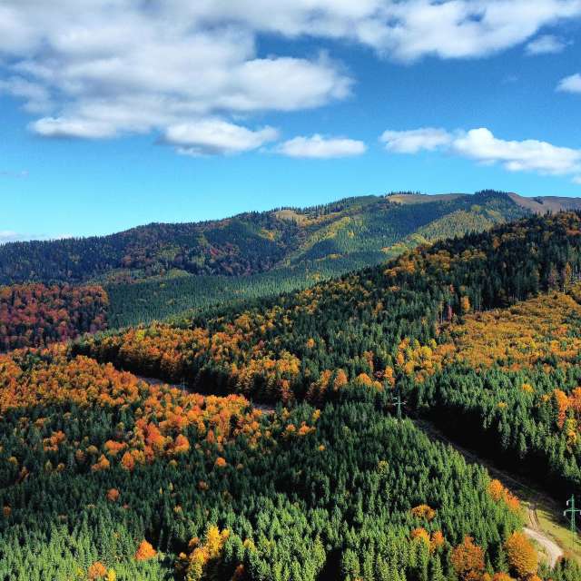 Weather forecasts with beautiful photos by Camelyon