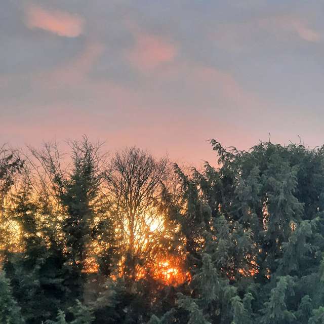 Germany. Weather forecasts with beautiful photos by verdeazul Photos in World