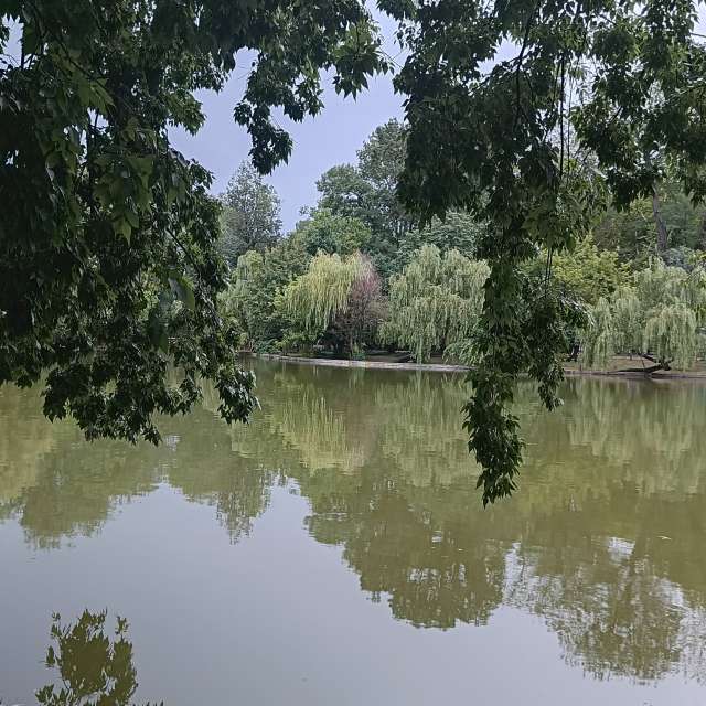 Fotos del Cuerpo. Pronósticos del tiempo con hermosas fotos de YanBog en București