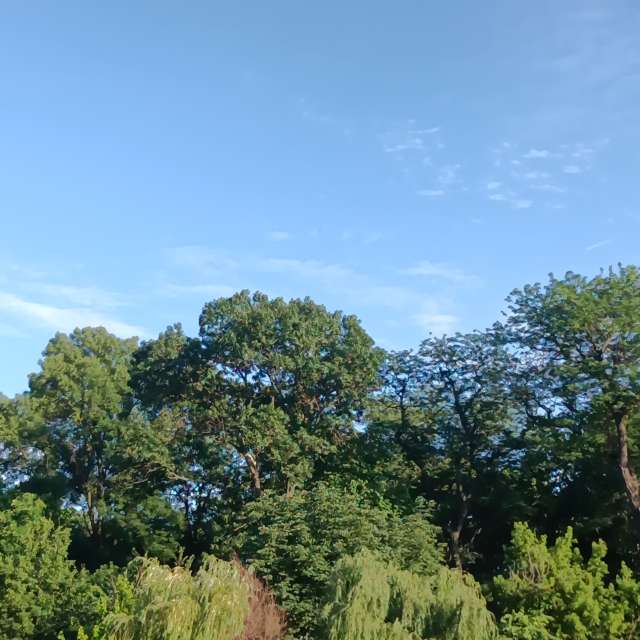 Fotos del Cuerpo. Pronósticos del tiempo con hermosas fotos de YanBog en București