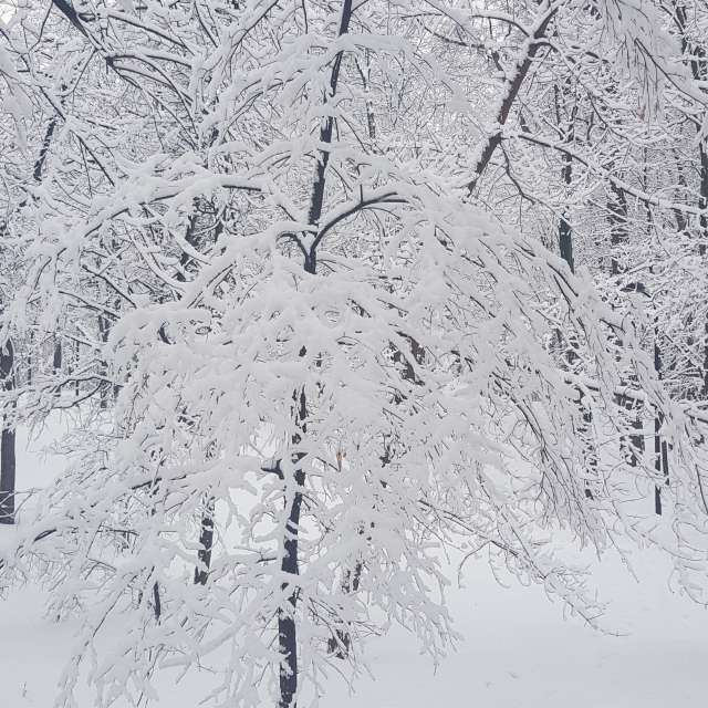 세계 날씨 사진. satrap의 아름다운 사진과 함께 일기 예보