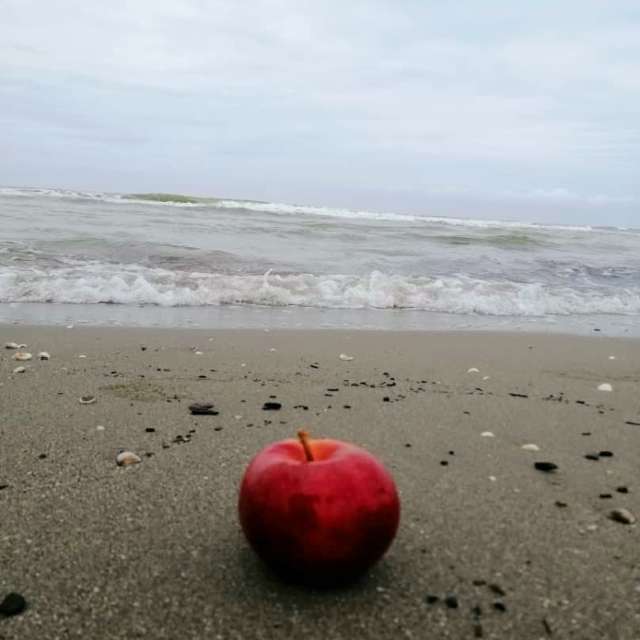 天气预报，带gentlemen55精美的照片