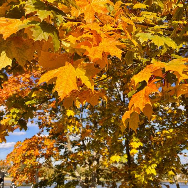 Weather forecasts with beautiful photos by Ewwa393