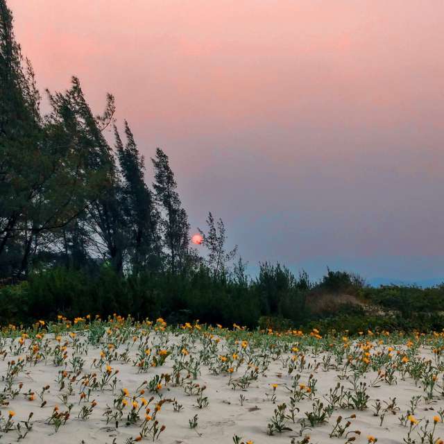 Fotos sobre el clima en Mundo. Pronósticos del tiempo con hermosas fotos de catiams