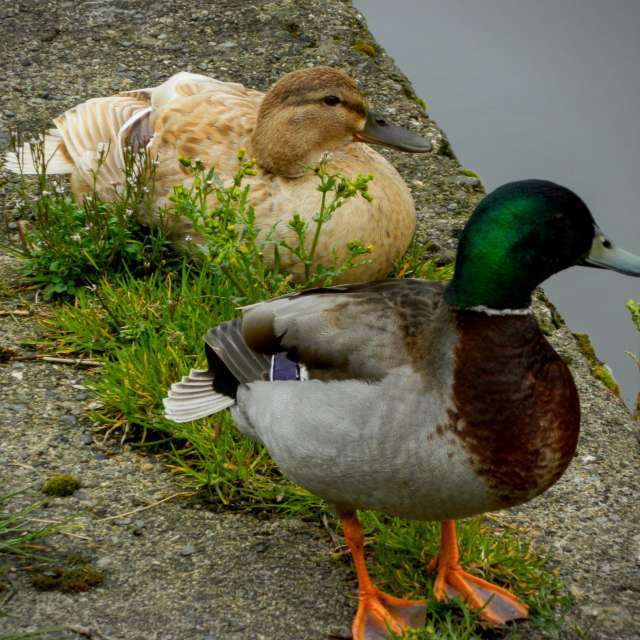 Dự báo thời tiết với những bức ảnh đẹp của DarekCho