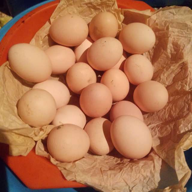 Weather forecasts with beautiful photos by Maggie Cabrer