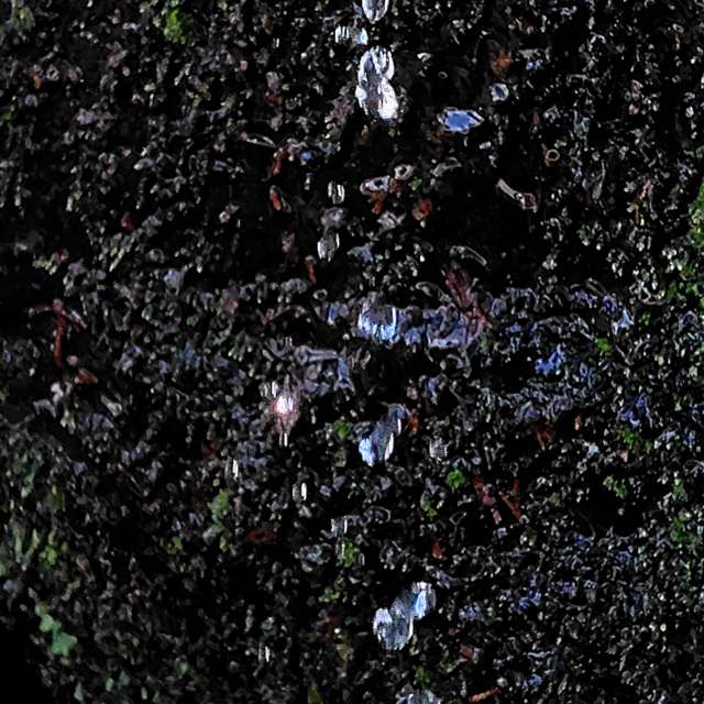 Weather forecasts with beautiful photos by umemui