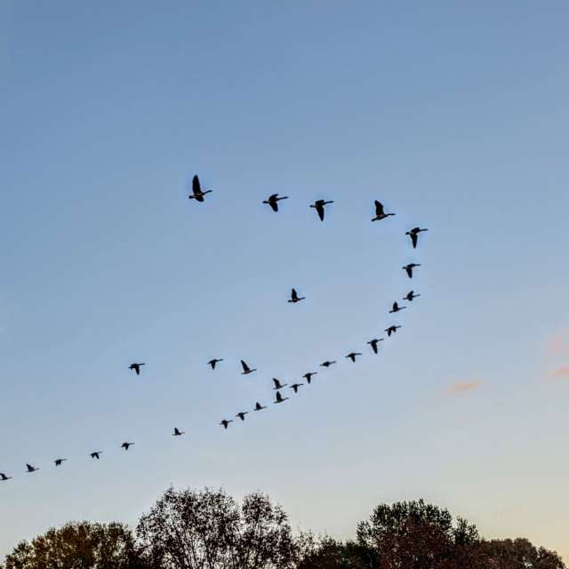 Weather forecasts with beautiful photos by jeannecozzarin