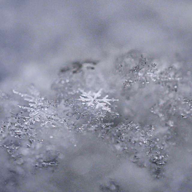 Weather forecasts with beautiful photos by Dandit