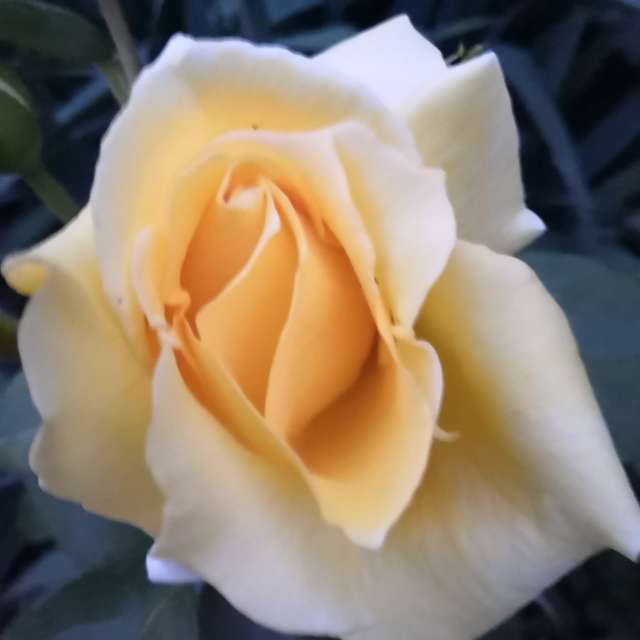 Wettervorhersagen mit schönen Fotos von Yurik