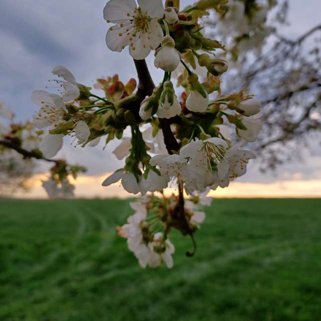 Fotos Clima. Previsões do tempo com lindas fotos de Kastramania em Freiberga