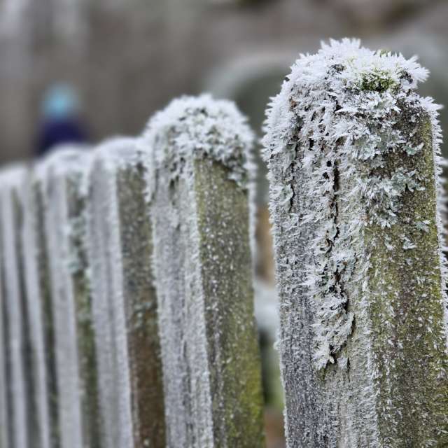 天气预报，带Brtd精美的照片