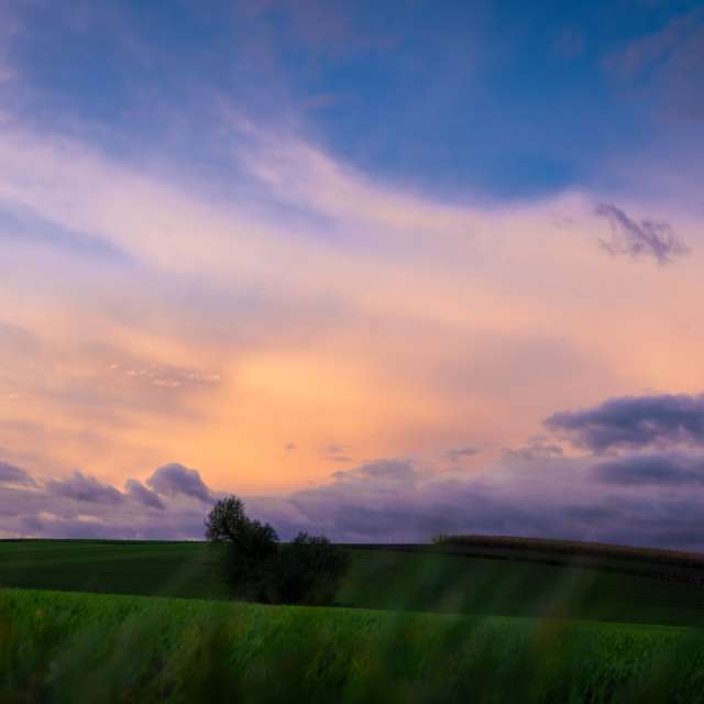 Previsões do tempo com lindas fotos de Li-Bro