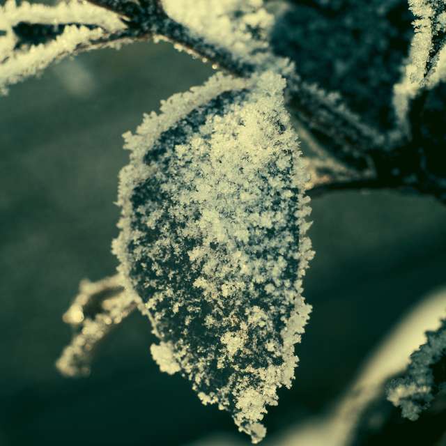 Weather forecasts with beautiful photos by RobertNagaj