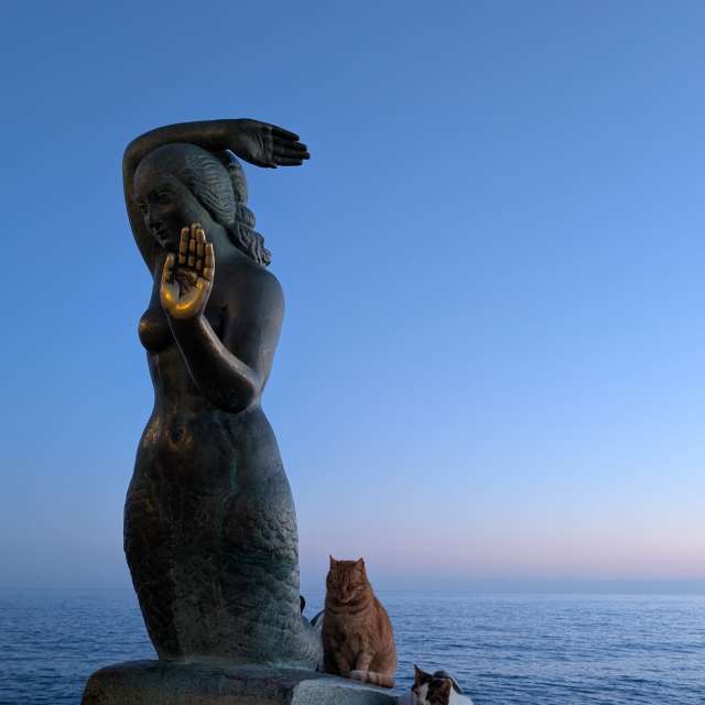 Pronósticos del tiempo con hermosas fotos de soykika