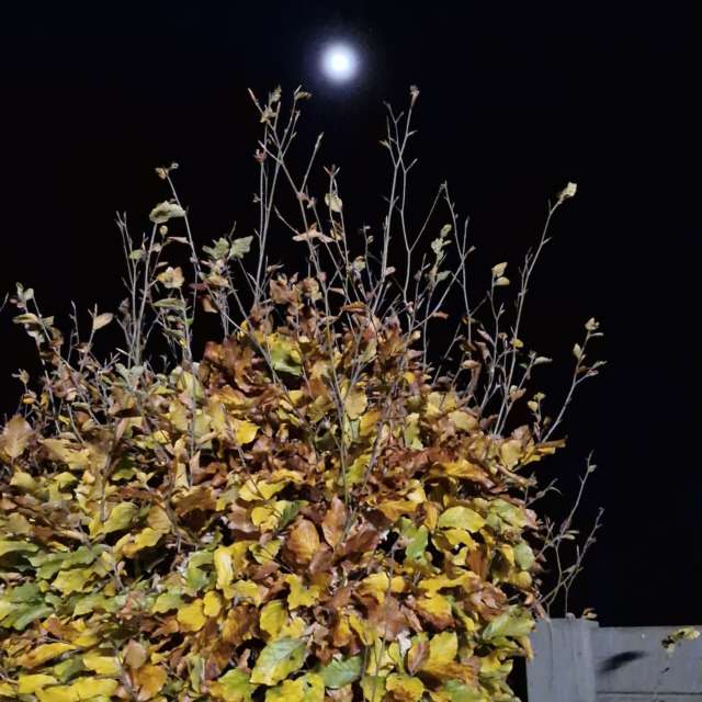 Прогнозы погоды с чудесными фотографиями, сделанными YanMir