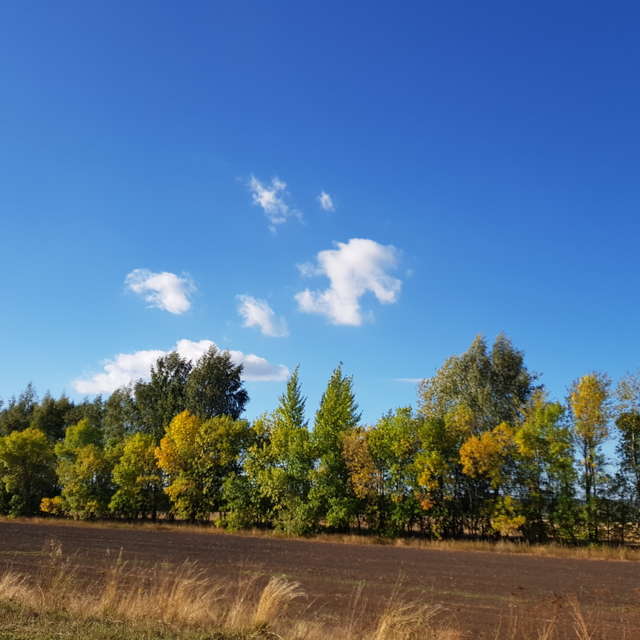 天气预报，带andreyfetisov精美的照片