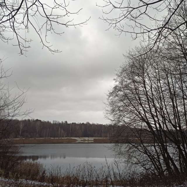 Pasture. Weather forecasts with beautiful photos by Amanda_and_Valdemar_Che Photos in Izmaylovo District