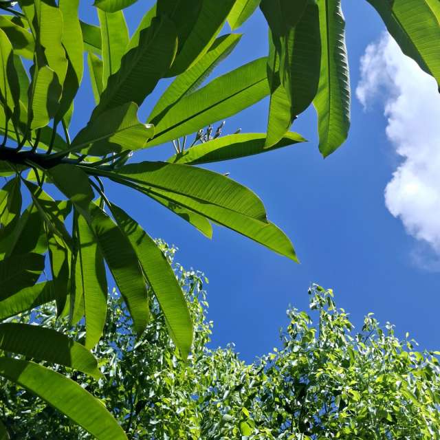 Photos Personnes. Prévisions météo avec de superbes photos de Wen-ya Huang de Kaohsiung