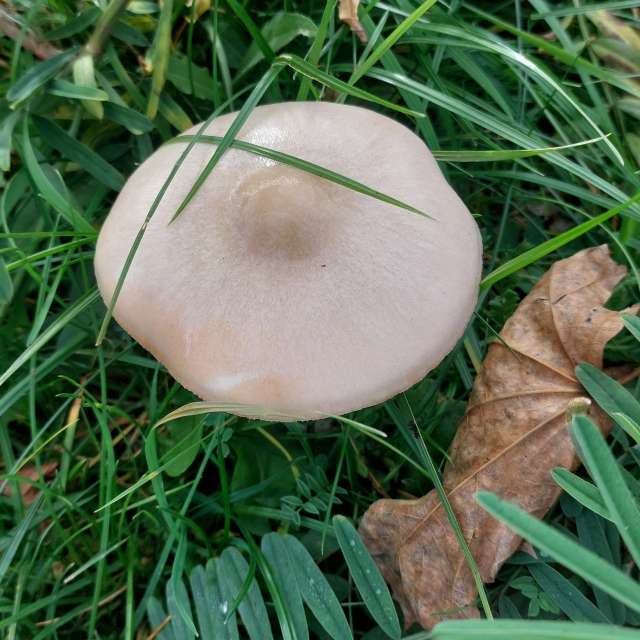 Previsões do tempo com lindas fotos de MaLou