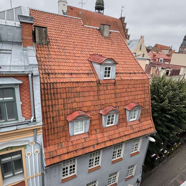 Riding. Weather forecasts with beautiful photos by Svet-Lana Photos in Rīga