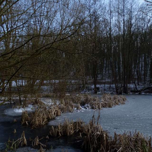 Fotos Lago. Previsões do tempo com lindas fotos de Vasek325 em Praha 4