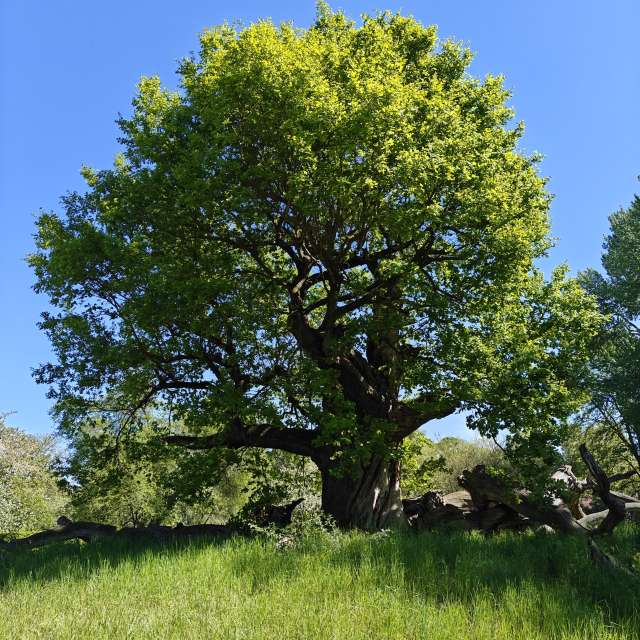 Прогнозы погоды с чудесными фотографиями, сделанными Karsten Wo