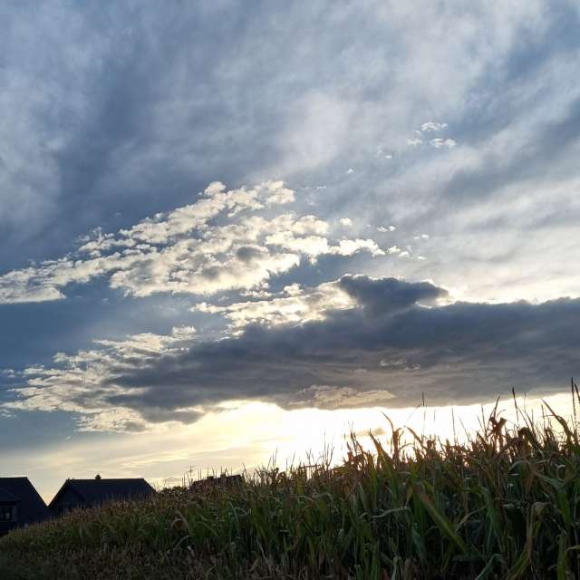 Niagaraの美しい写真による天気予報