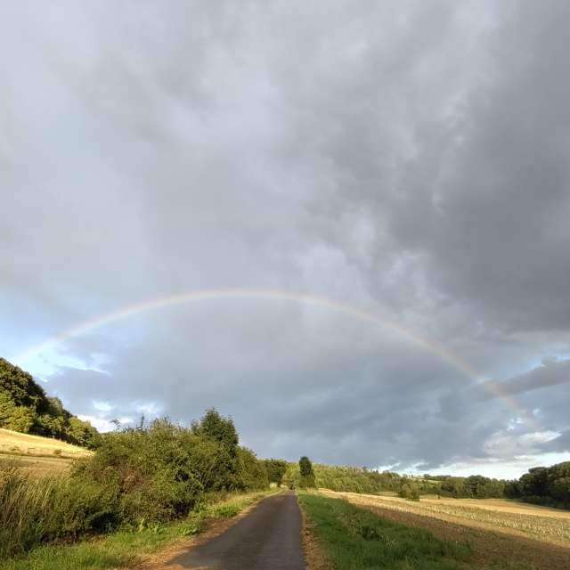 Pronósticos del tiempo con hermosas fotos de Richtoldi
