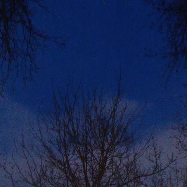 Fotos del Joven. Pronósticos del tiempo con hermosas fotos de YanBog en București