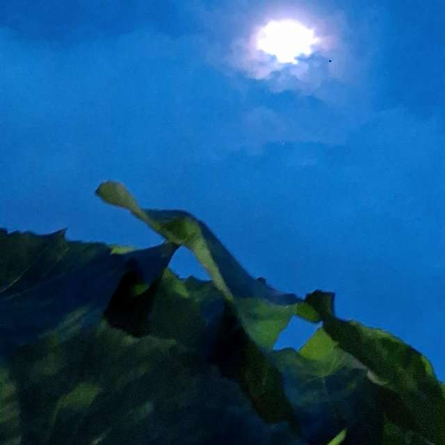 Slope. Weather forecasts with beautiful photos by Wen-ya Huang Photos in Kaohsiung City