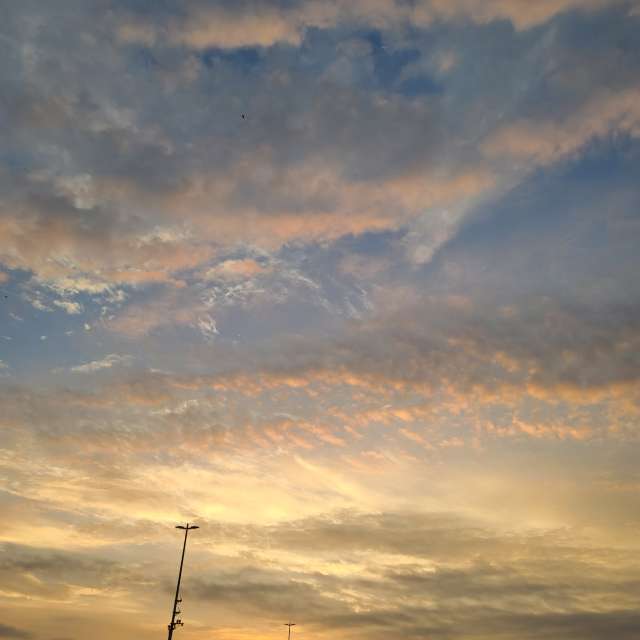 Grassy. Weather forecasts with beautiful photos by あさのジジ Photos in Okayama