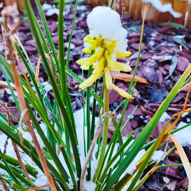 Tree. Weather forecasts with beautiful photos by Romek58 Photos in Wieluń