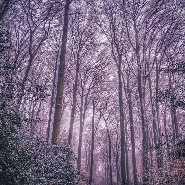 Weather forecasts with beautiful photos by Gweiland