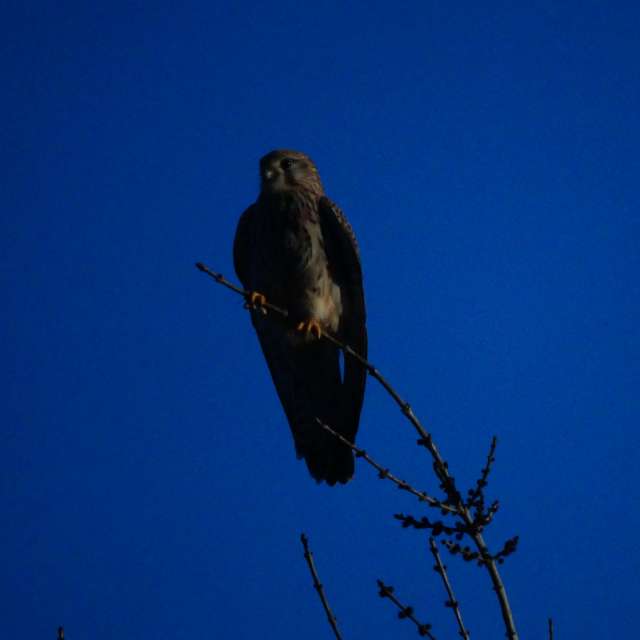 Weather forecasts with beautiful photos by tony5636