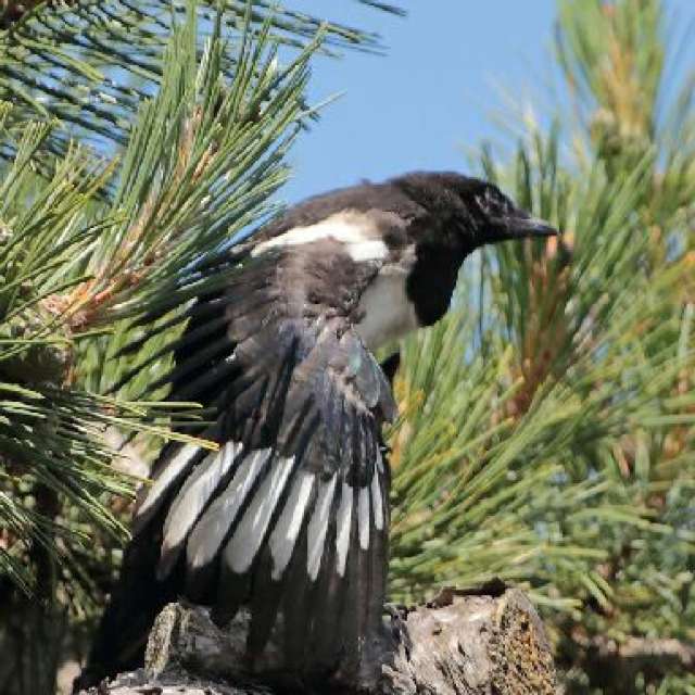 Прогнозы погоды с чудесными фотографиями, сделанными Ninette