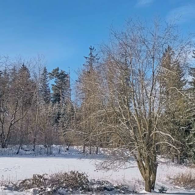 Wettervorhersagen mit schönen Fotos von Kripo