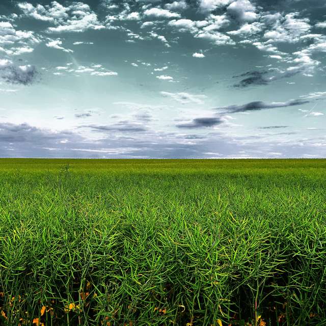 Weather forecasts with beautiful photos by ConstantinR
