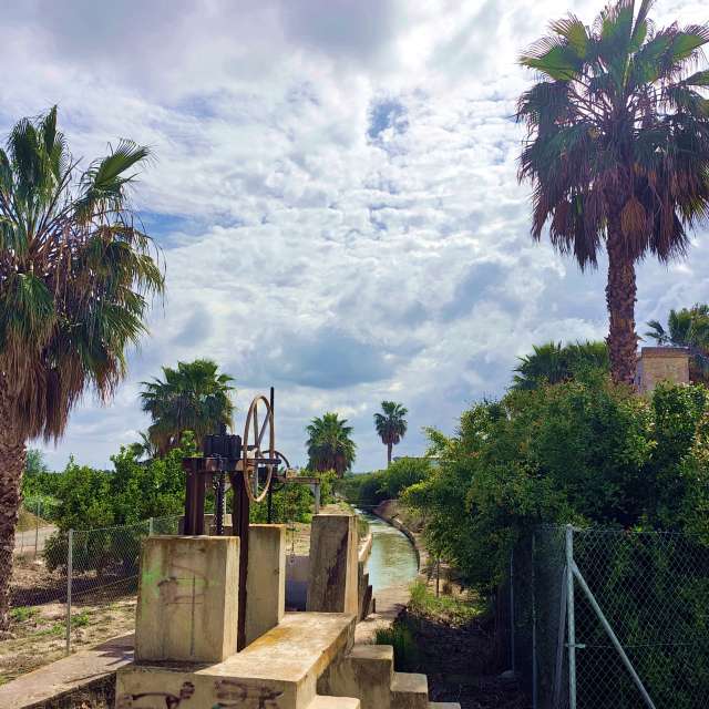 Prévisions météo avec de superbes photos de MSLidon