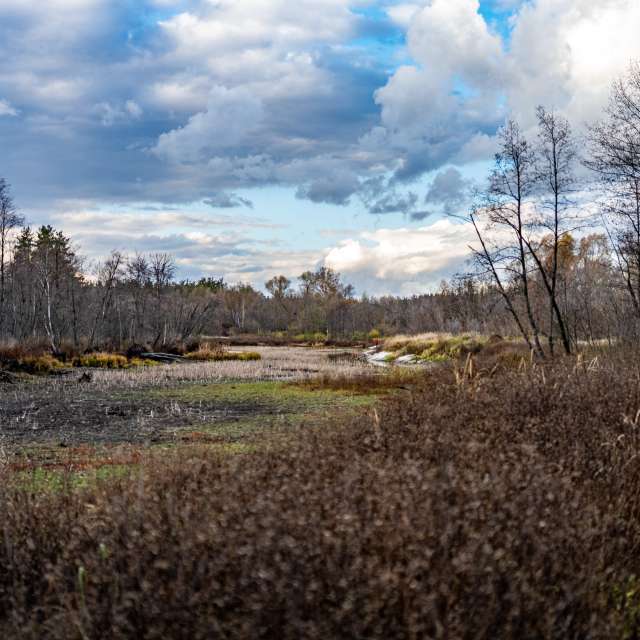 Weather forecasts with beautiful photos by GrgaP