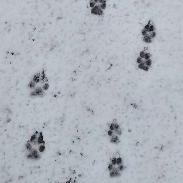 Direction. Weather forecasts with beautiful photos by Iryna Photos in Kharkiv