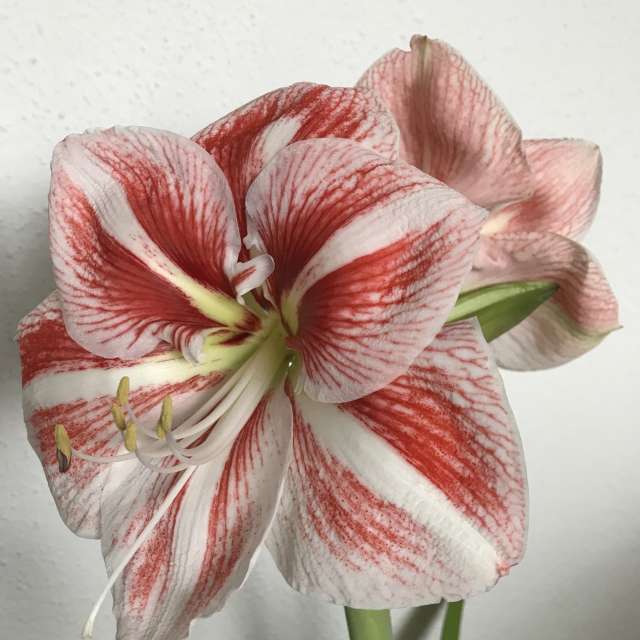 Прогнозы погоды с чудесными фотографиями, сделанными aida-khaldi