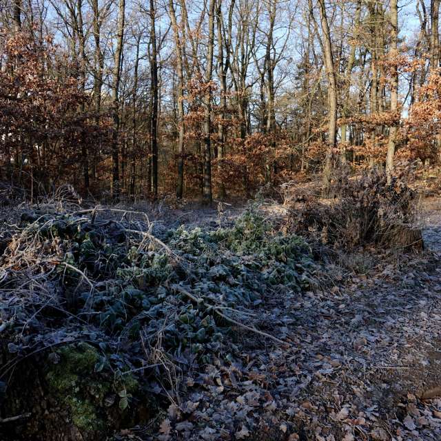 Previsões do tempo com lindas fotos de Vasek325