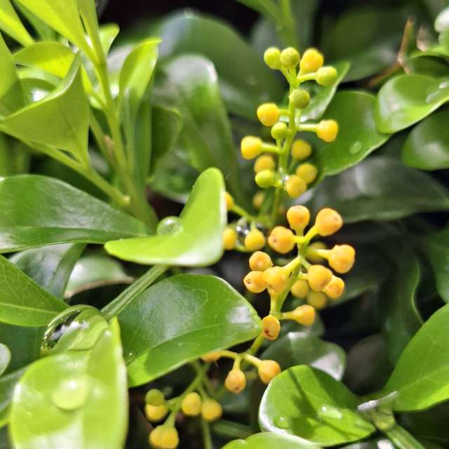 Many. Weather forecasts with beautiful photos by Wen-ya Huang Photos in Kaohsiung City