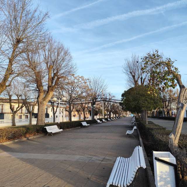 Wettervorhersagen mit schönen Fotos von M Paz Basanta Costea